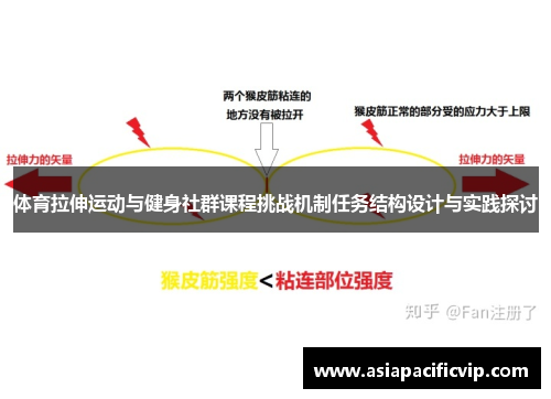 体育拉伸运动与健身社群课程挑战机制任务结构设计与实践探讨