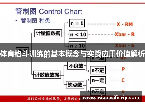 体育格斗训练的基本概念与实战应用价值解析